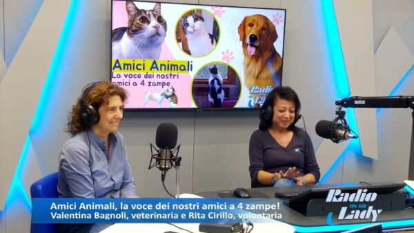 Oggi torna la storica rubrica di Radio Lady dedicata ai nostri amici a quattro zampe:âŠ