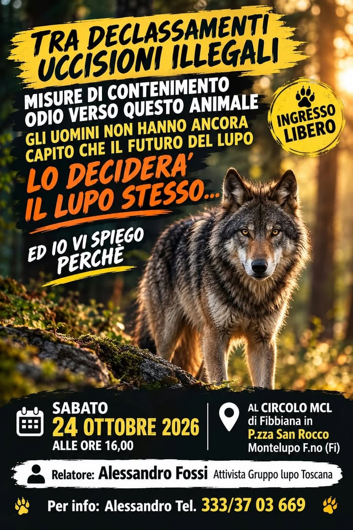 Torna questo pomeriggio alle 17.15 su Radio Lady l'appuntamento con đđŠđąđđą đđ§đąđŠđđ„đą! đŸđđ Ospiti inâŠ