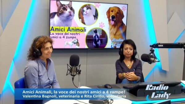 Oggi torna la storica rubrica di Radio Lady dedicata ai nostri amici a quattro zampe:âŠ